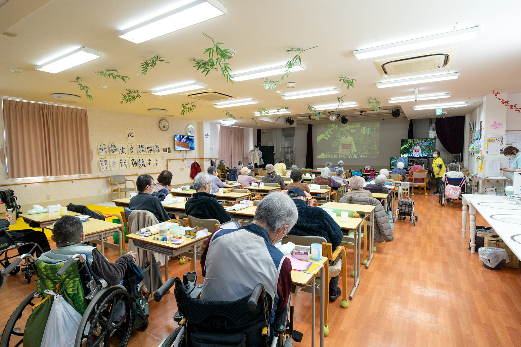 ココテレサの様子